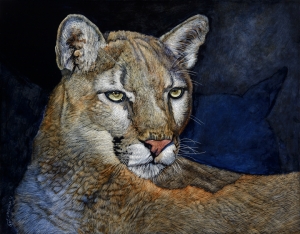 Wildcat Series: Shadows & Light (Cougar)