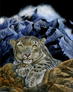 Wildcat Series: Snow Leopard
