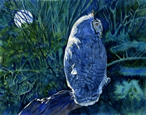 Night Hunter (Great Horned Owl)