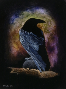 Raven's Silhouette